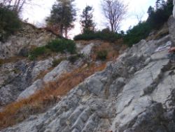 2013-10-26_Schildenstein (208).JPG